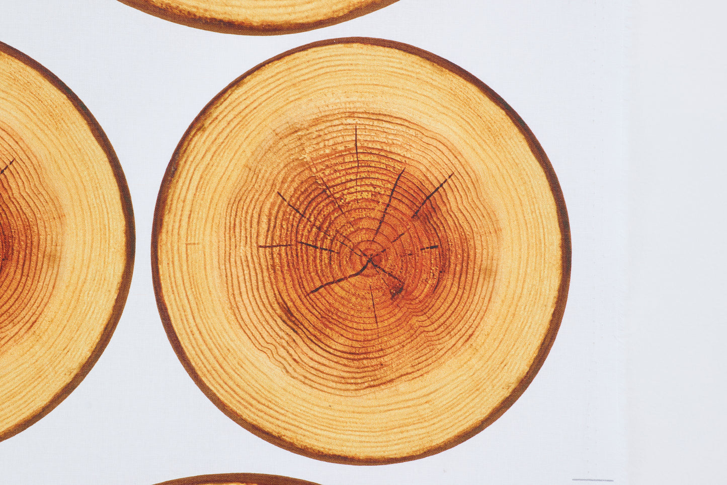 Customize Me! Stump Sheeting YGA-81040-2