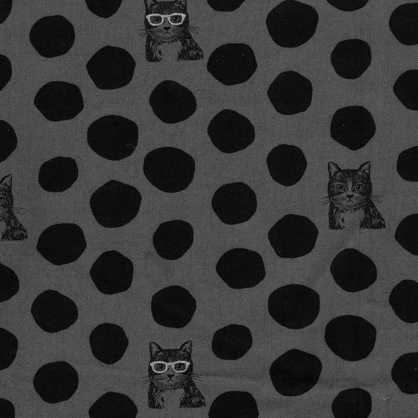 NekoNoe echino Cat Canvas EYX-91000-100