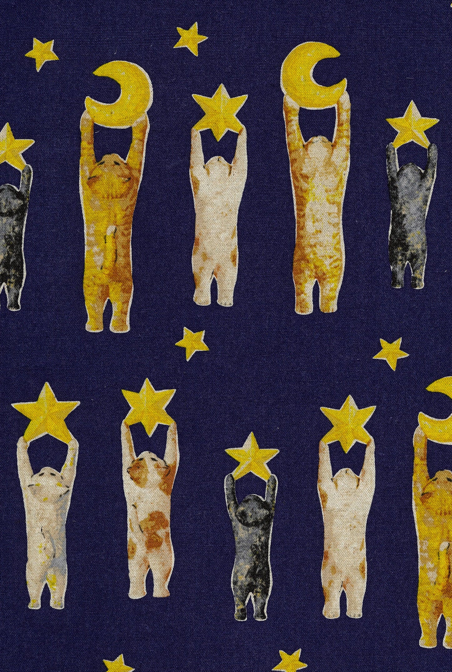 Neko No Textile Canvas EGXA-8800-2