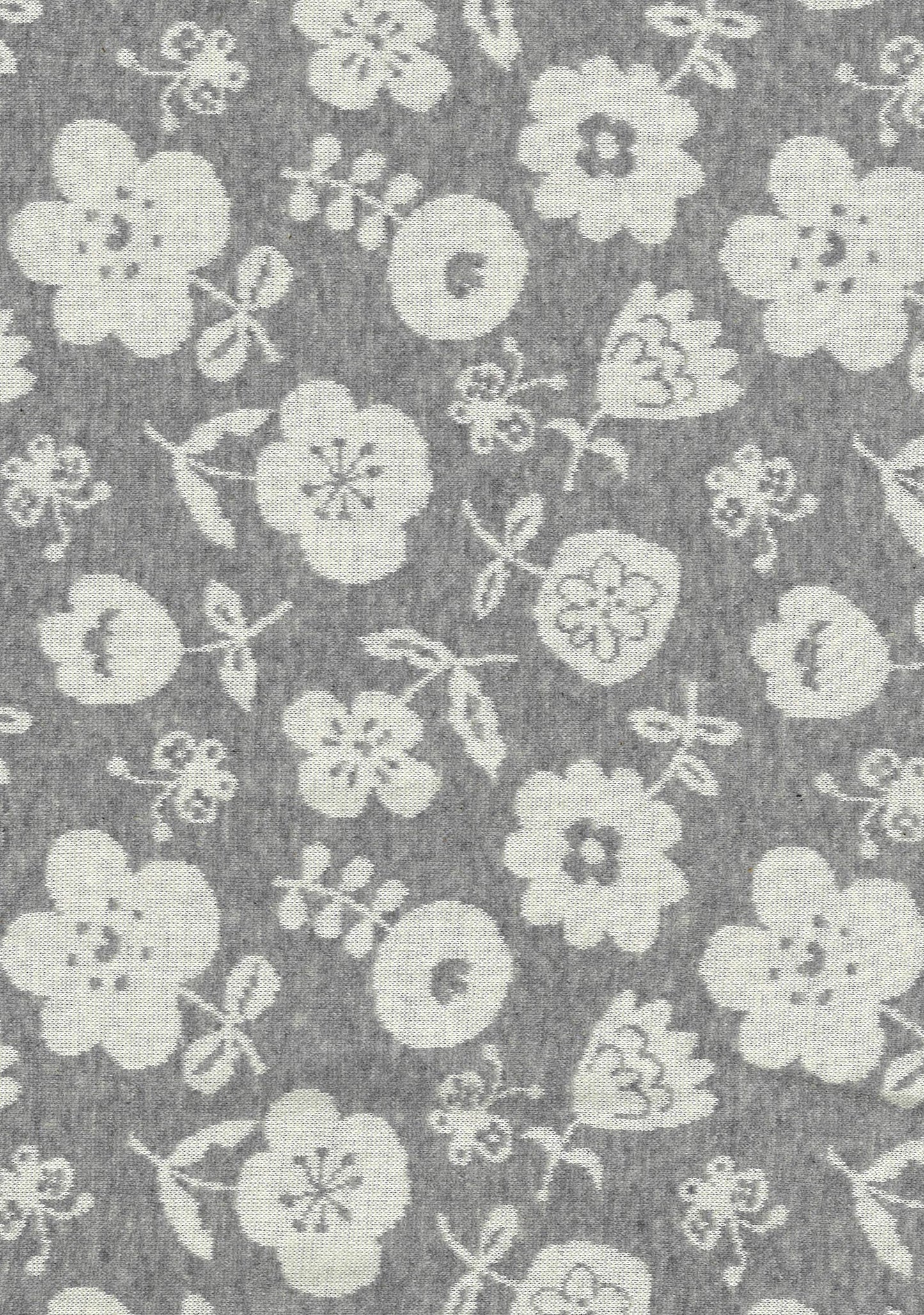 Knit Jacquard Knit Jacquard YG-66030-1