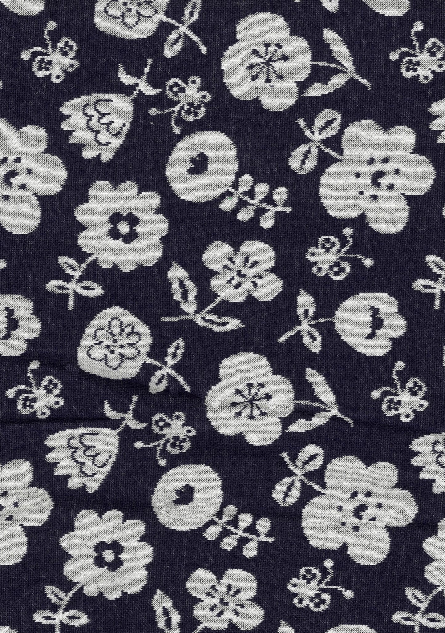 Knit Jacquard Knit Jacquard YG-66030-1