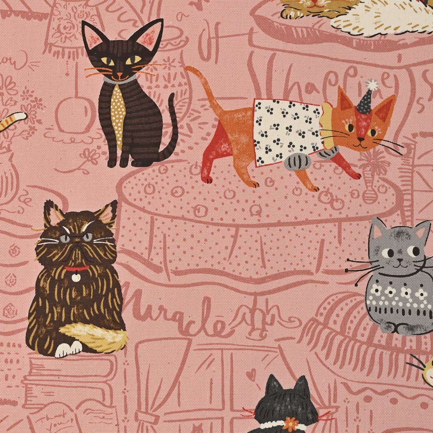 Powerful Animal Cats Oxford YGA-71000-1