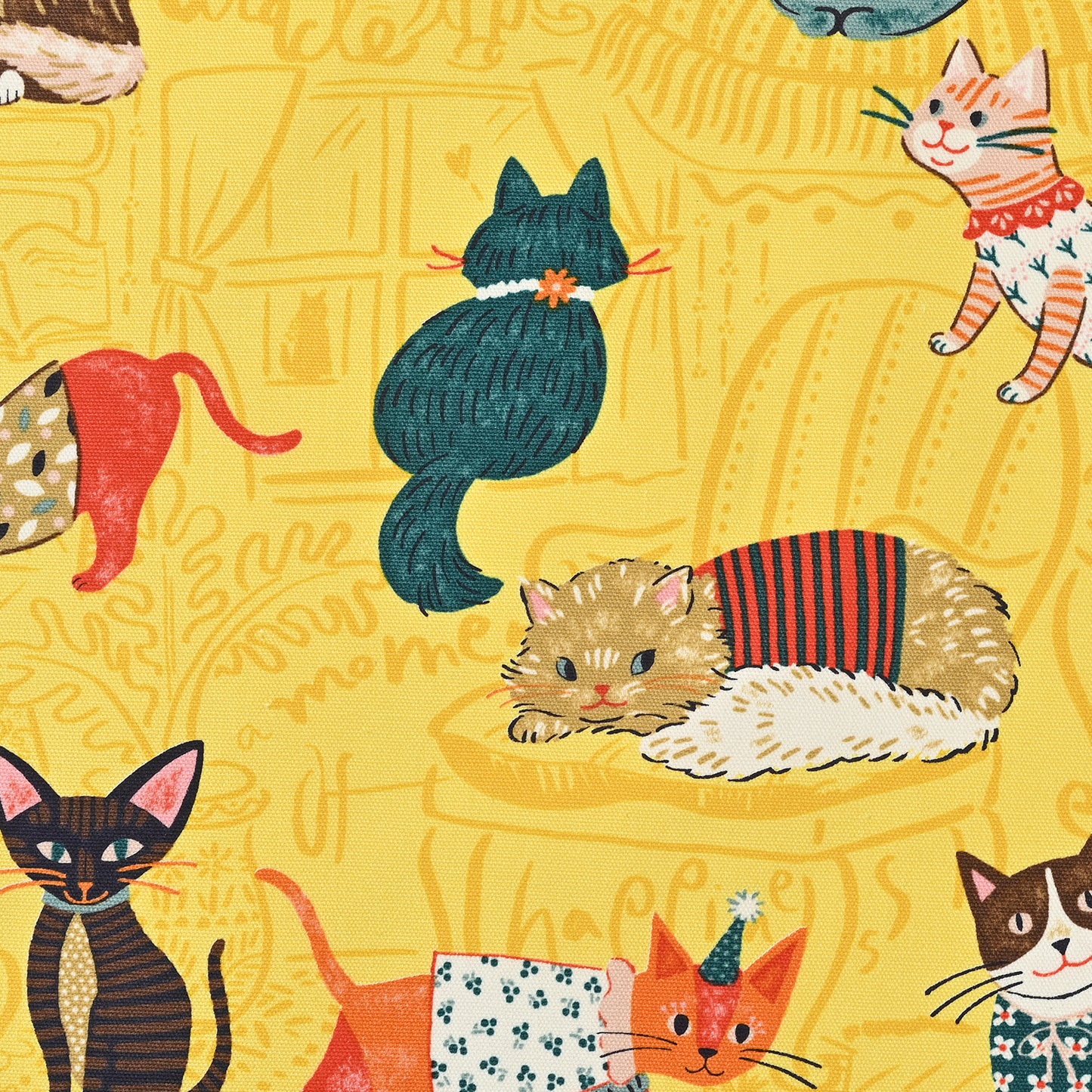 Powerful Animal Cats Oxford YGA-71000-1
