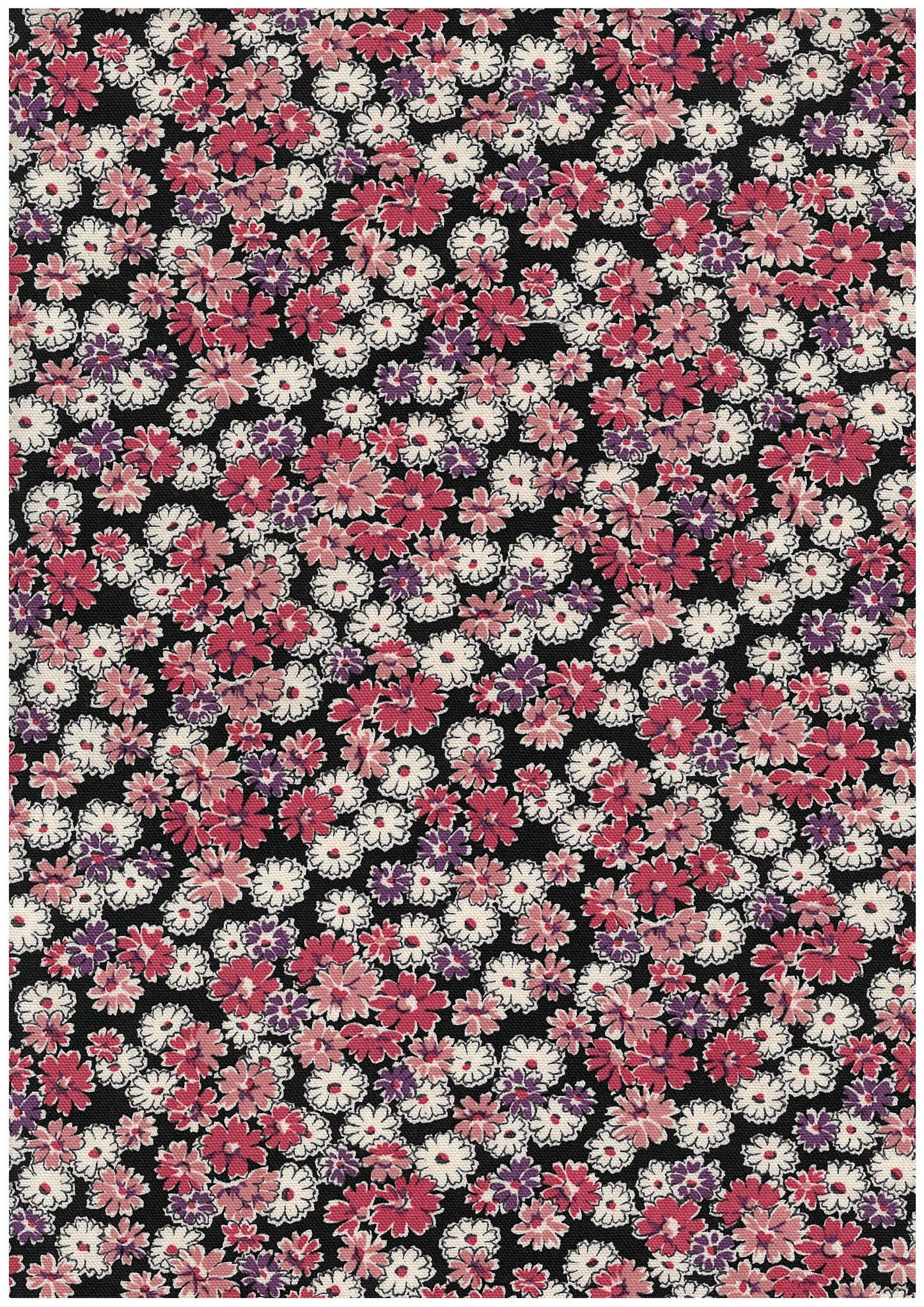 Petit Flower Ditsy Oxford YGA-96020-2