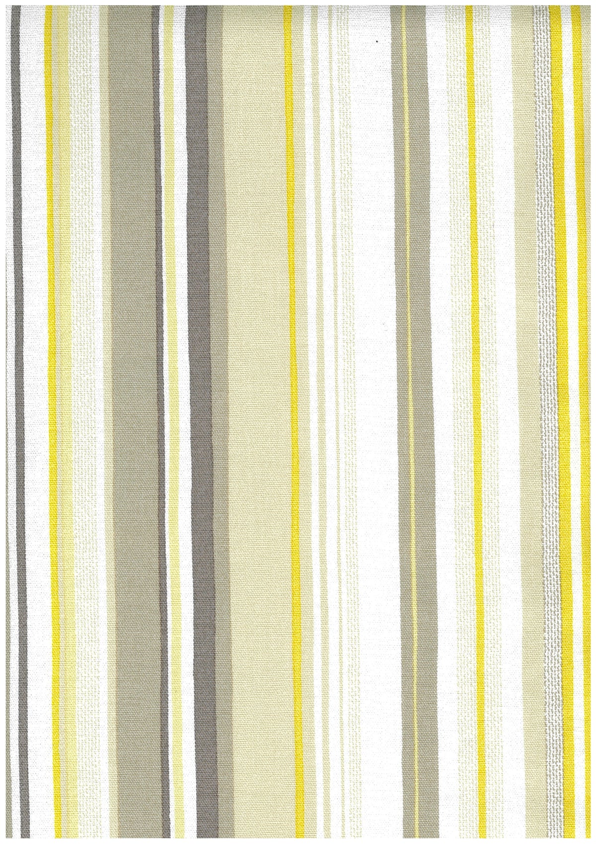 Stripe Cotton Oxford YGA-99020-2