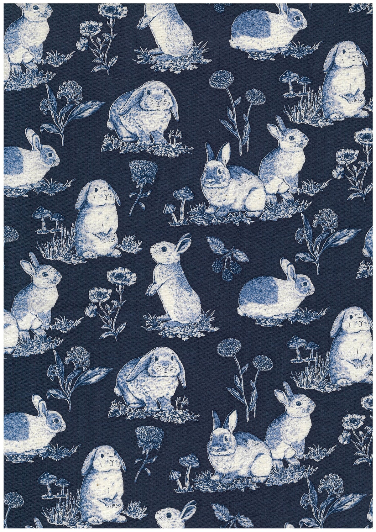 Les Scènes Bunnies Cotton Sheeting YGA-99050-1