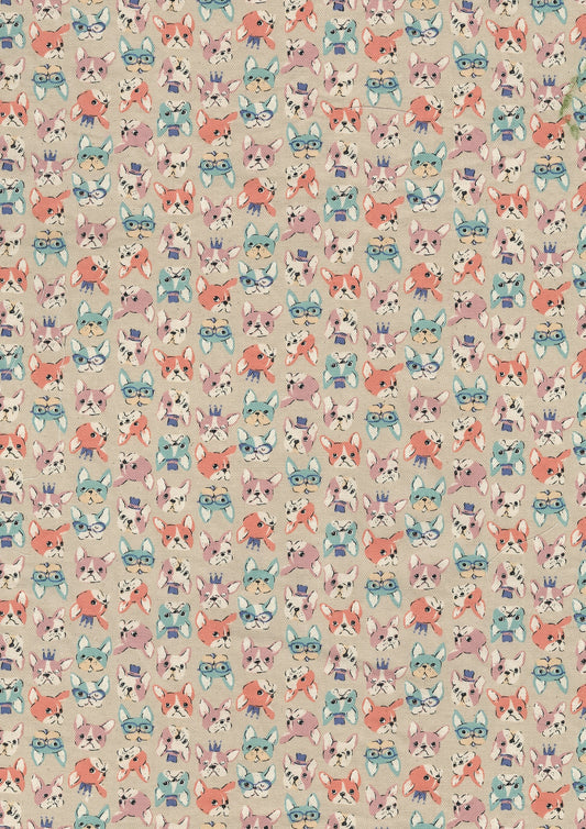 Chibi Puri French Bulldog Oxford YKA-31120-2