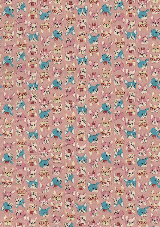 Chibi Puri French Bulldog Oxford YKA-31120-2