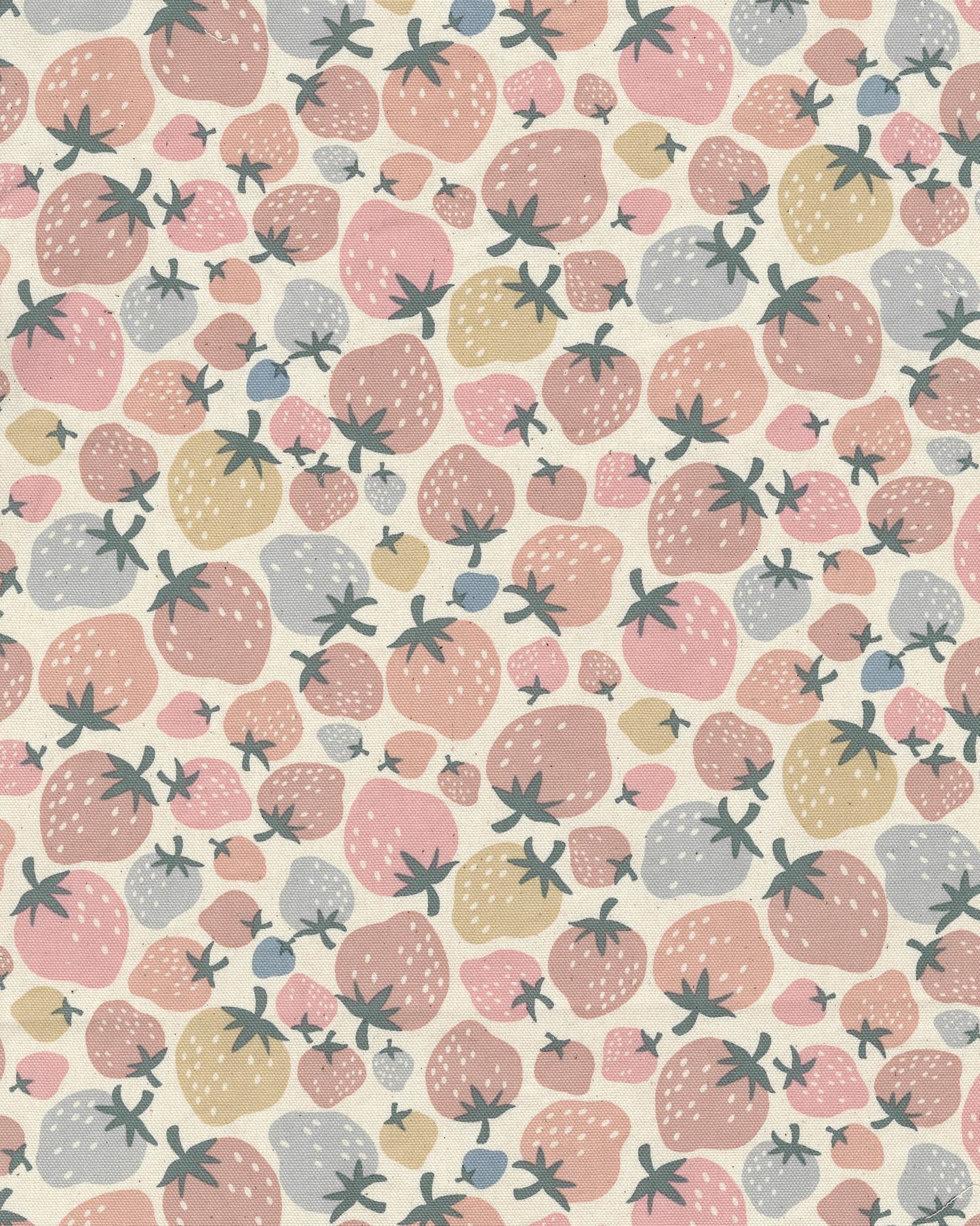 Retro Charm Strawberries Cotton Oxford YKA-36010-2