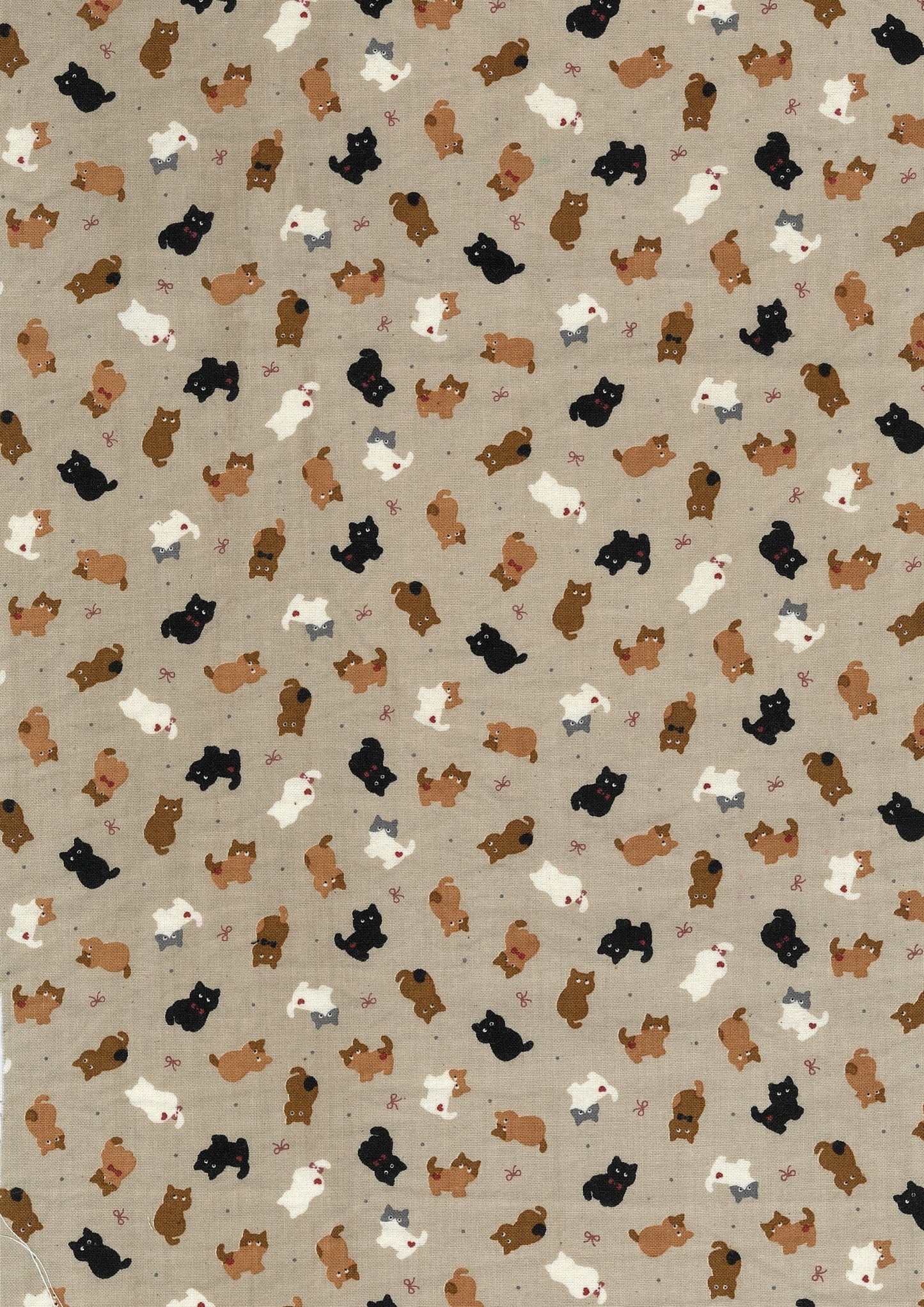 Chibi-pri Cats Cotton Sheeting YKA-39050-1