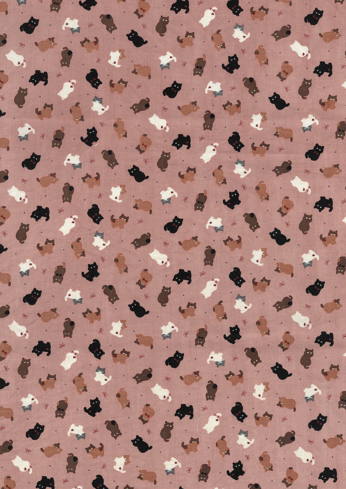 Chibi-pri Cats Cotton Sheeting YKA-39050-1