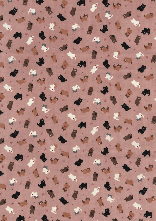 Chibi-pri Cats Cotton Sheeting YKA-39050-1