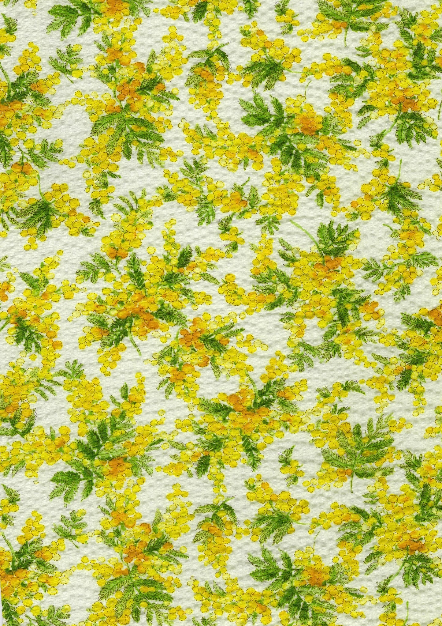 Mimosa Prints Ripple Seersucker YKA-39080-1