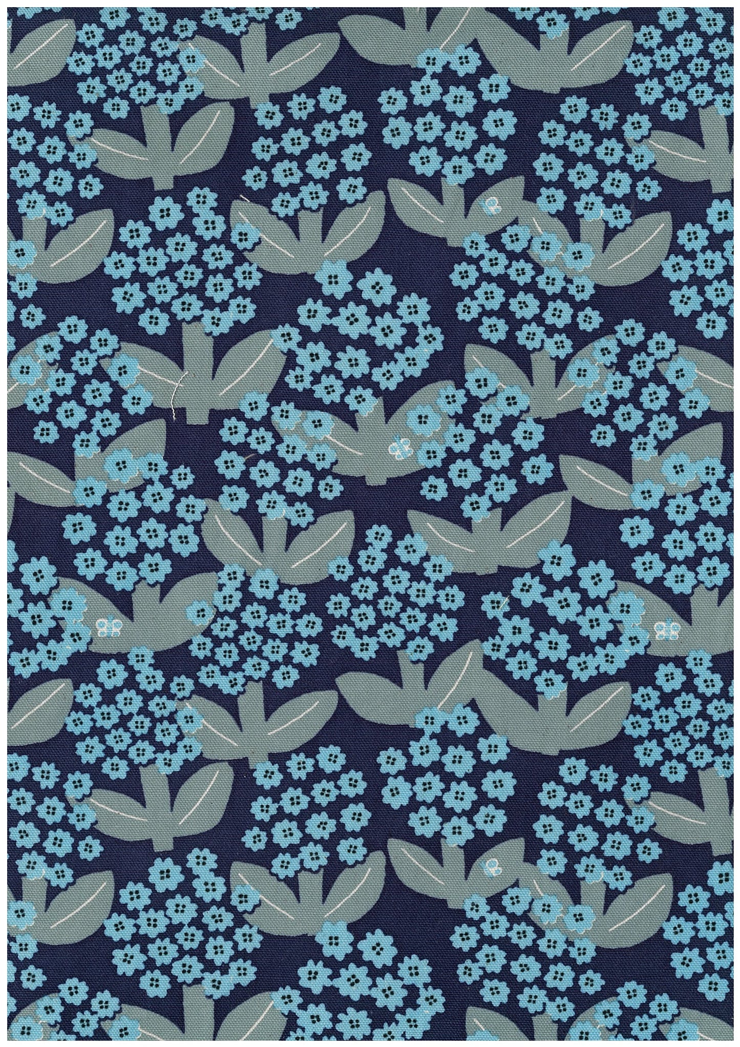 Linnea Cotton Oxford YKA-41050-1