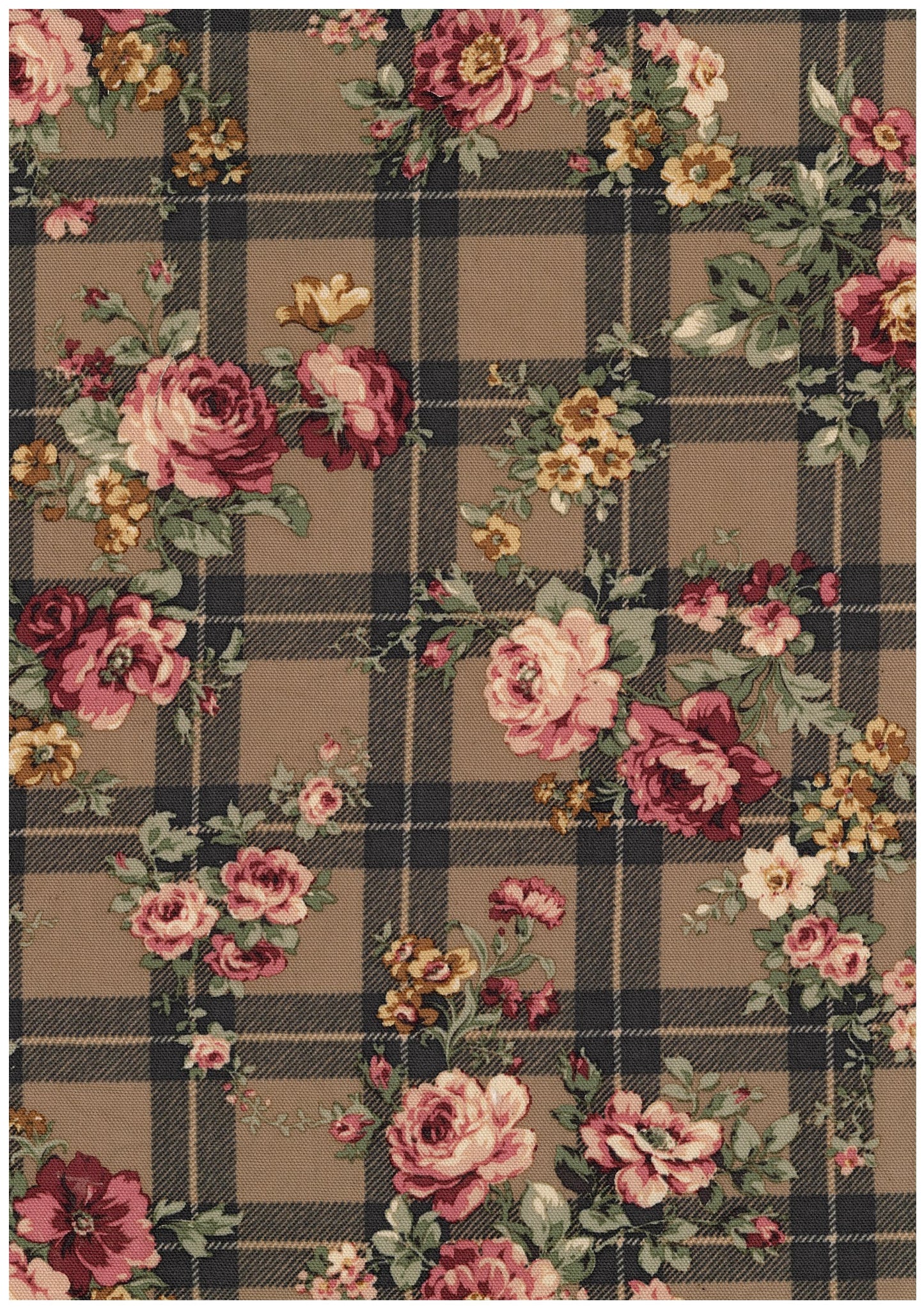 Classical Rose Check Oxford YKA-46010-2