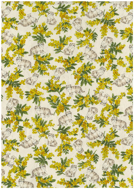 Sweeties Mimosa Cats Oxford YKA-46020-1
