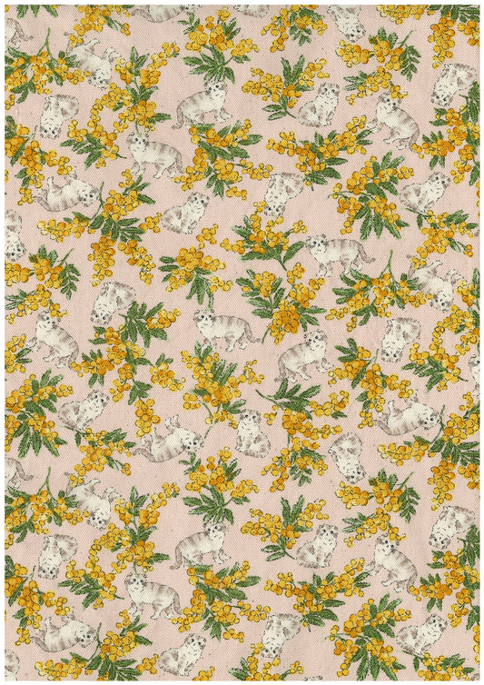 Sweeties Mimosa Cats Oxford YKA-46020-1