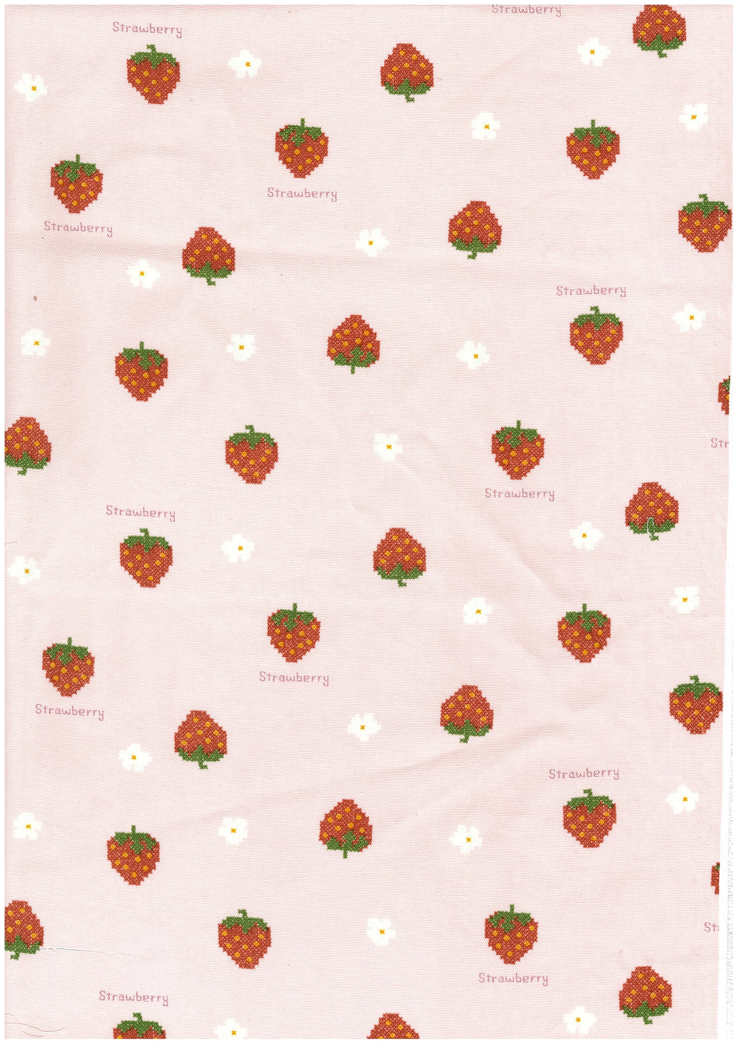 Petit Embroidery Oxford YP-49040-2