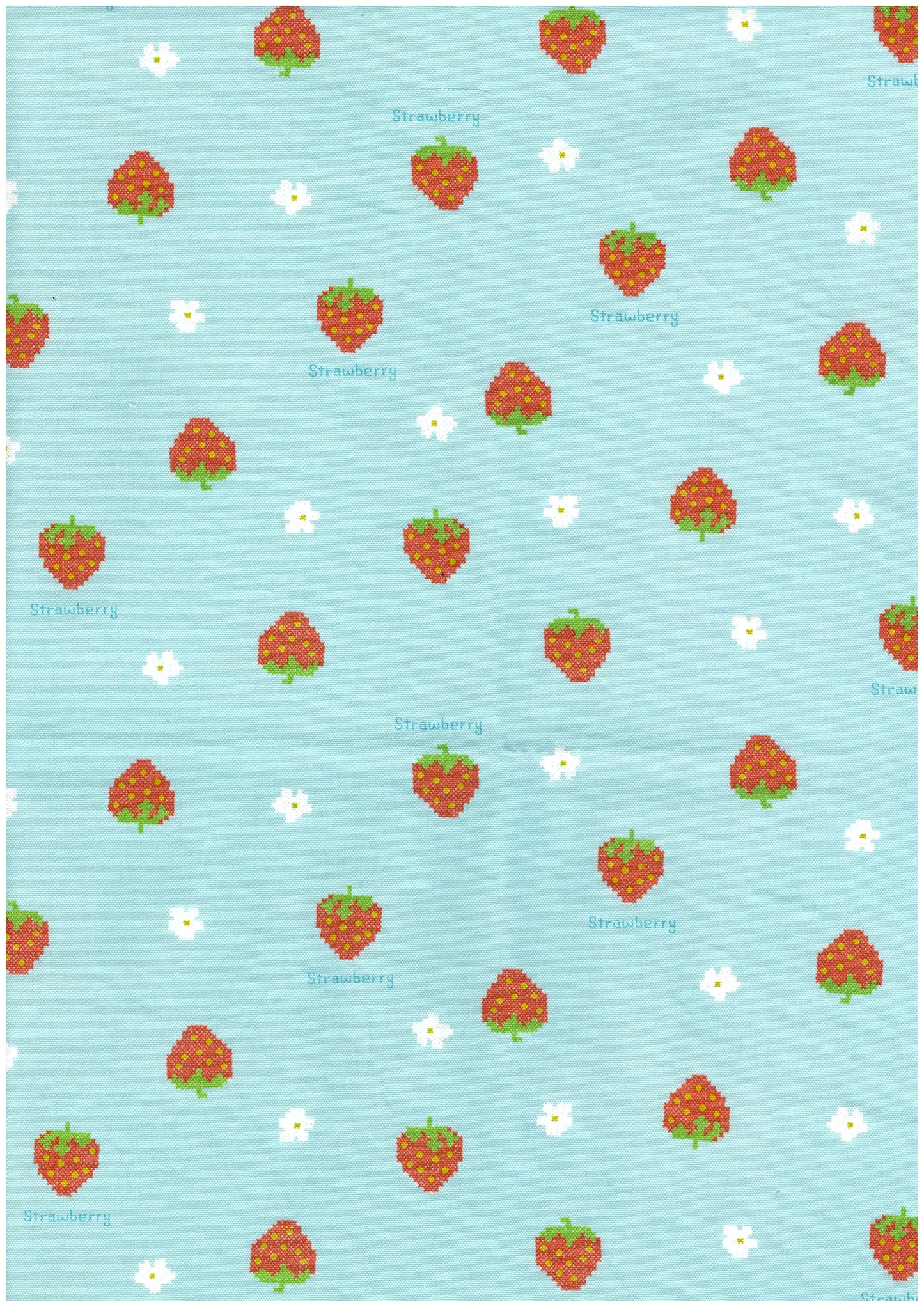 Petit Embroidery Oxford YP-49040-2