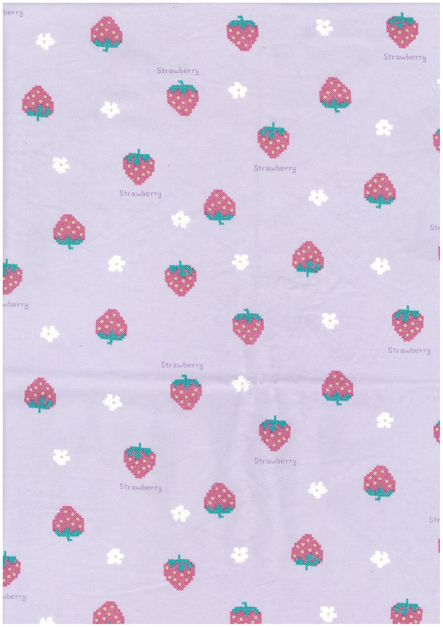 Petit Embroidery Oxford YP-49040-2