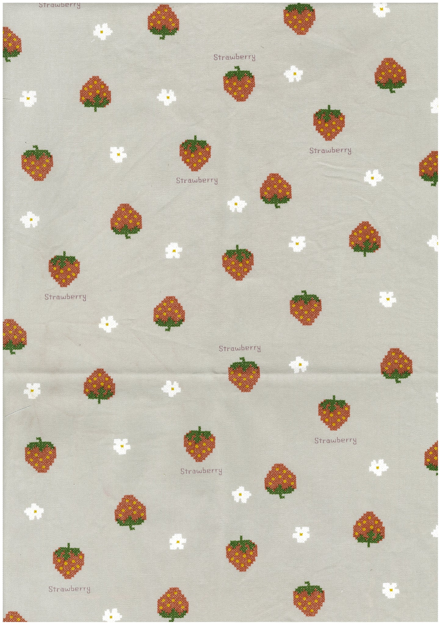 Petit Embroidery Oxford YP-49040-2
