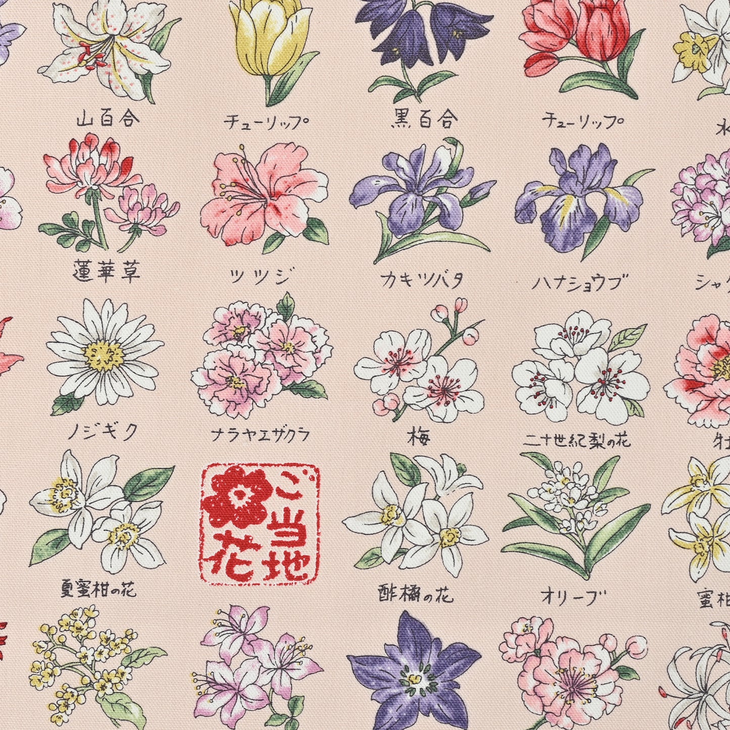 Japanese National Flower Series Oxford YPA-51000-1