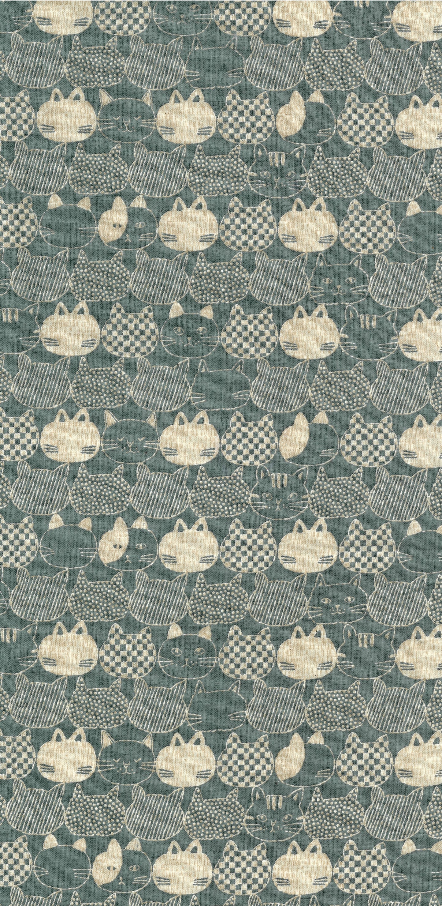 Mist Cat Oxford YPA-56000-2