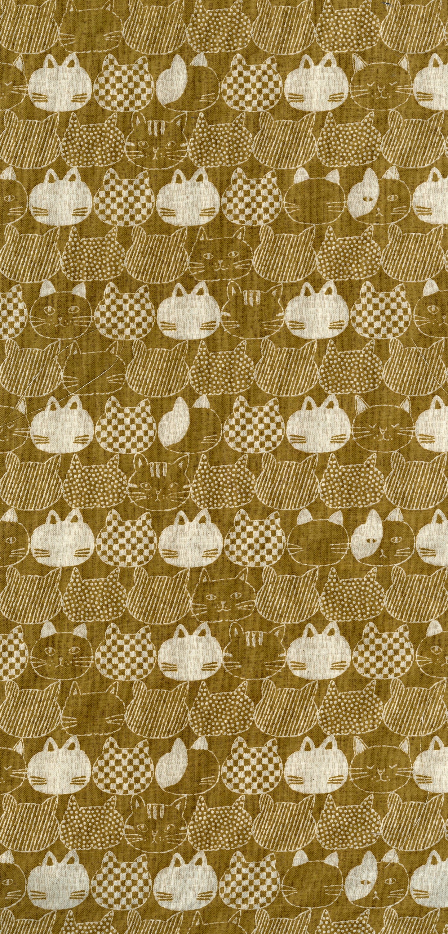 Mist Cat Oxford YPA-56000-2
