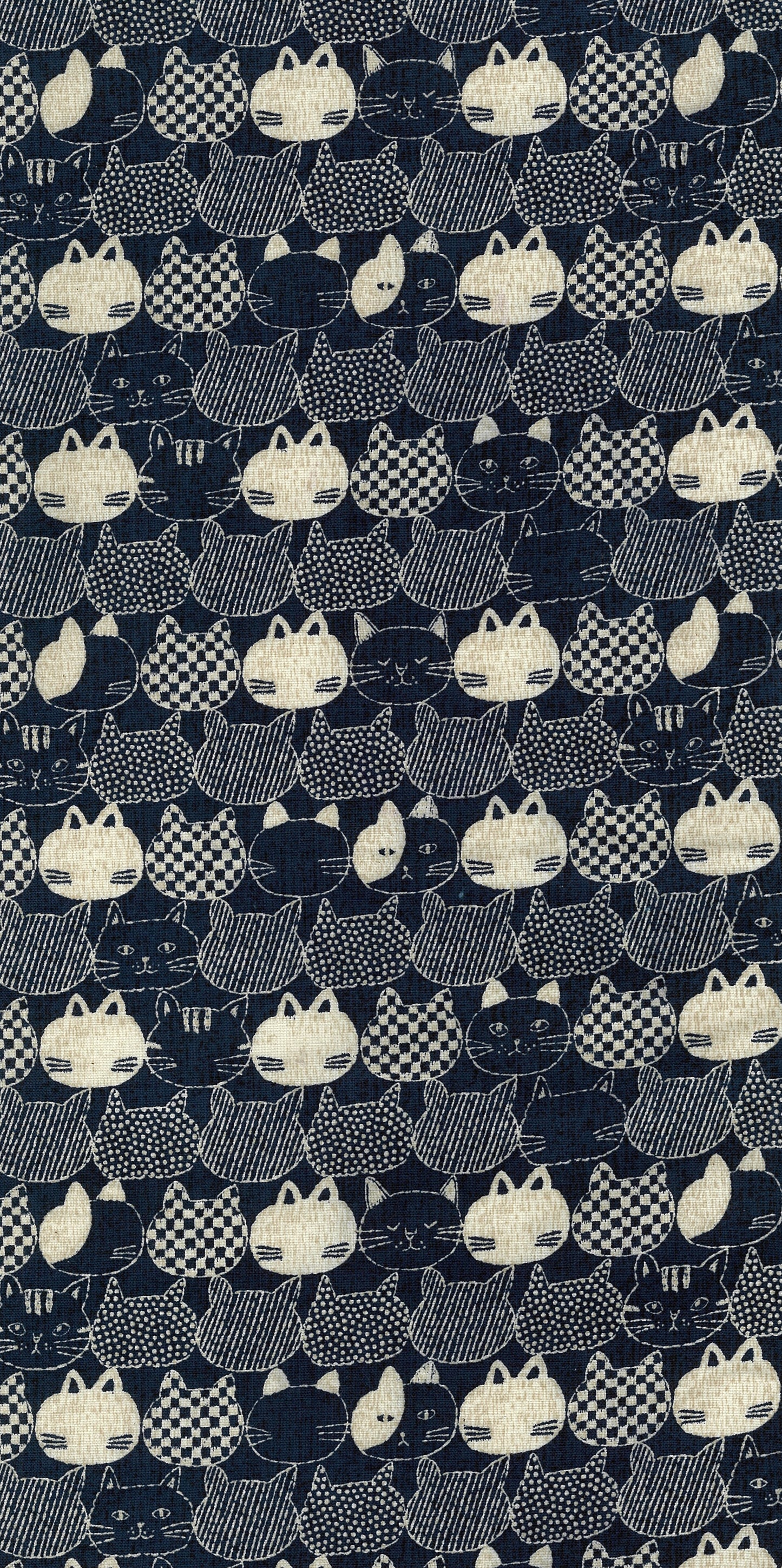 Mist Cat Oxford YPA-56000-2