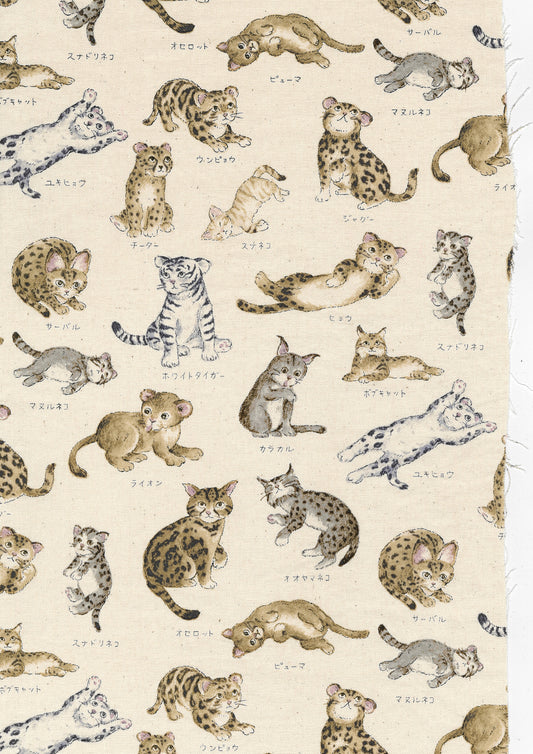 Zukan Series Cat Family Oxford YPA-61000-1