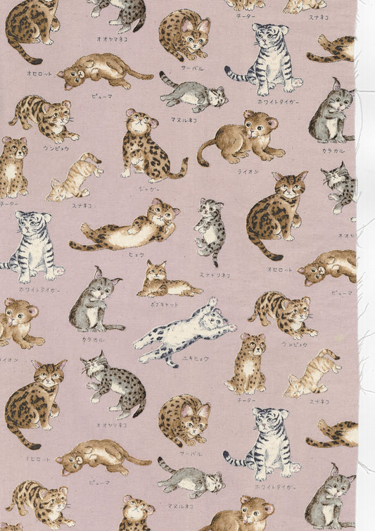 Zukan Series Cat Family Oxford YPA-61000-1