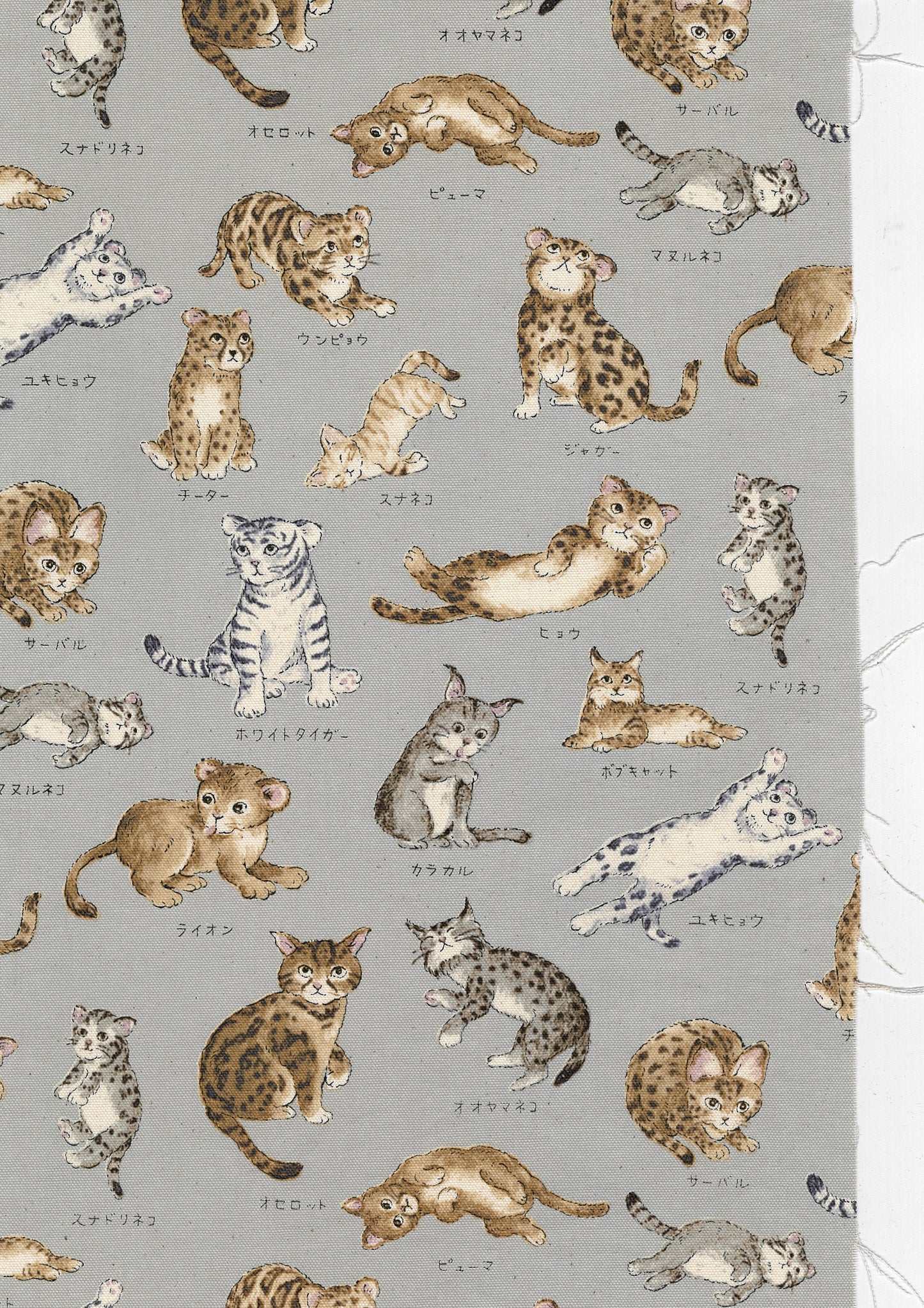 Zukan Series Cat Family Oxford YPA-61000-1