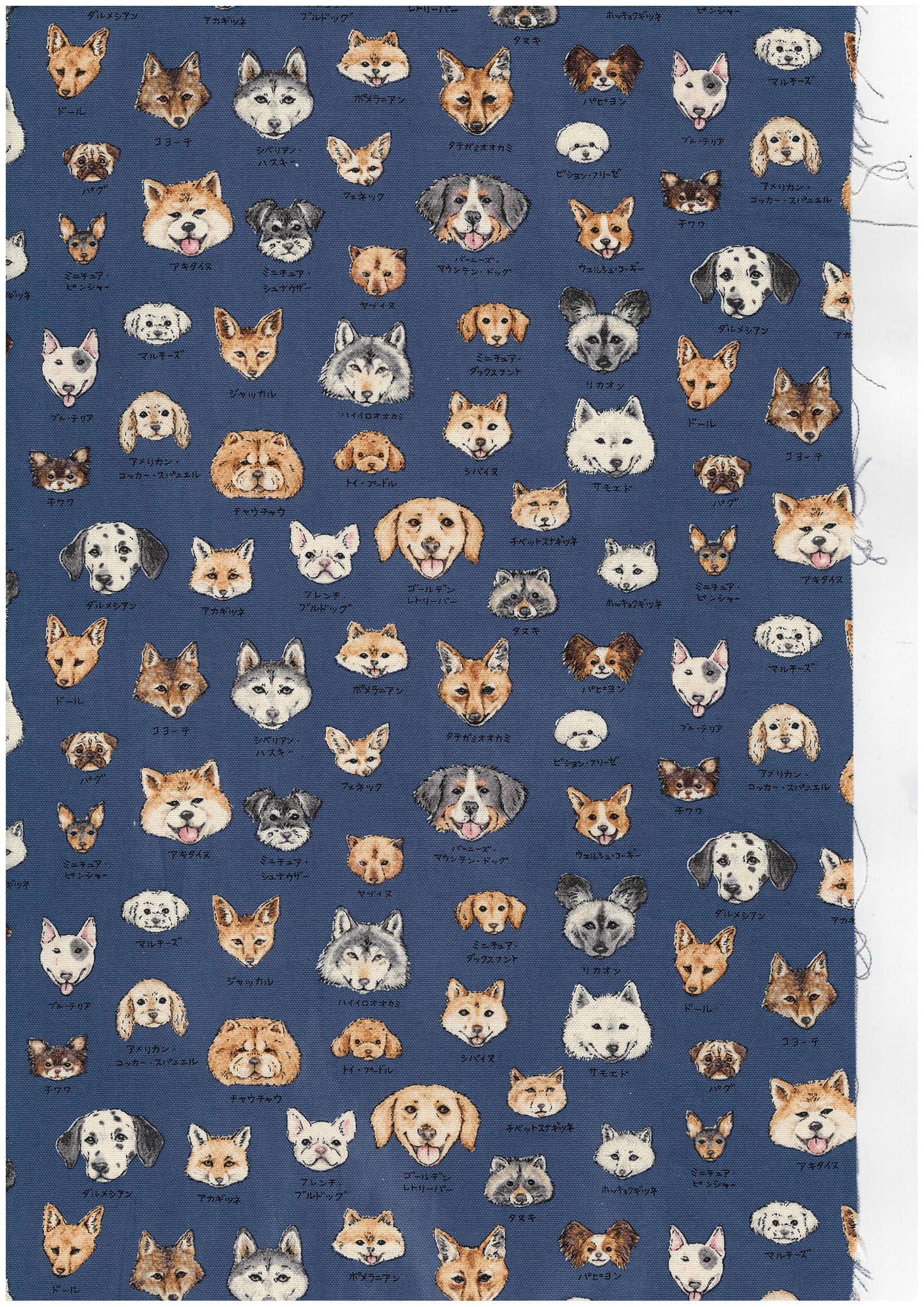 Zukan Series Dog Family Oxford YPA-61000-2