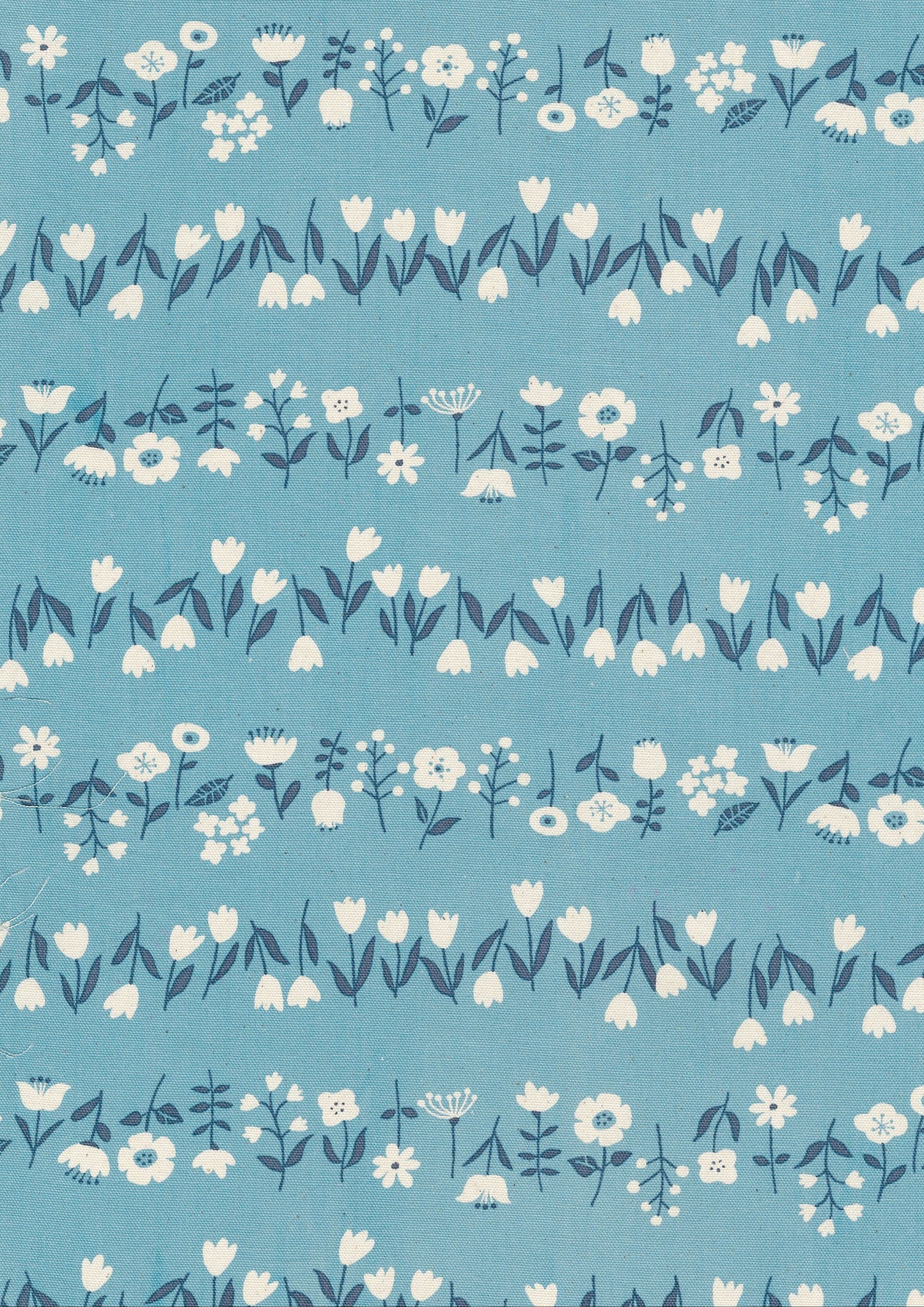 Simply Palette Floral Cotton Oxford YPA-69020-1