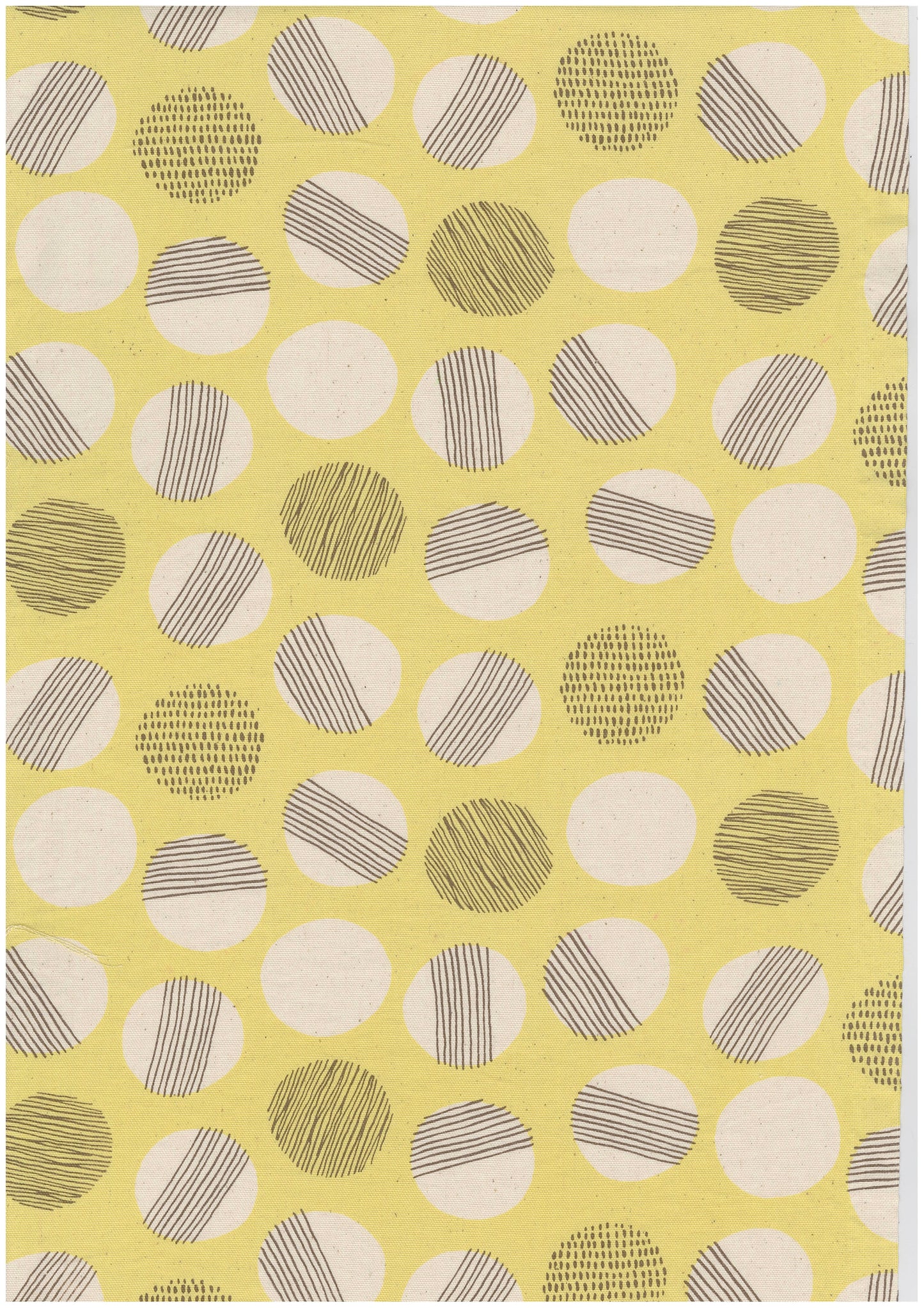 Simply Palette Polka Dots Cotton Oxford YPA-69020-2