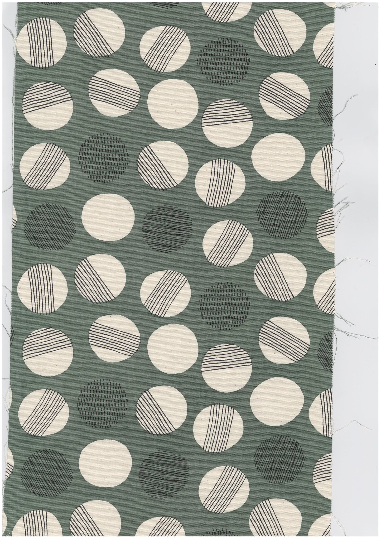 Simply Palette Polka Dots Cotton Oxford YPA-69020-2