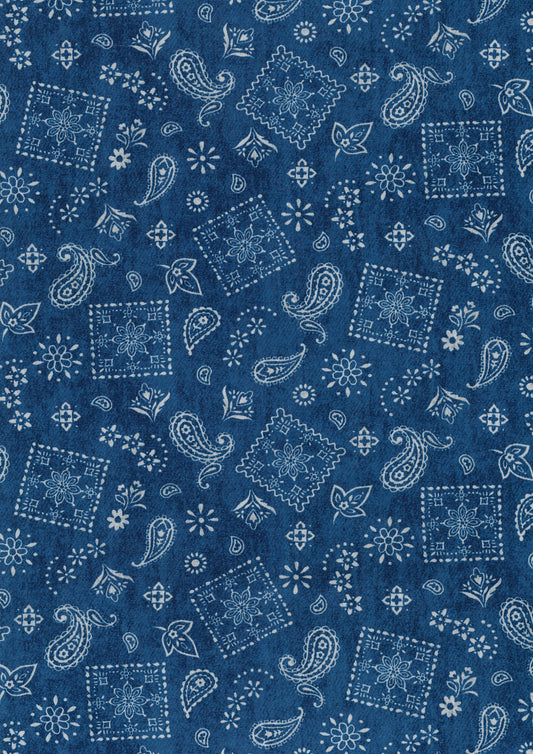 Denim Layers Cotton Oxford YPA-71020-1