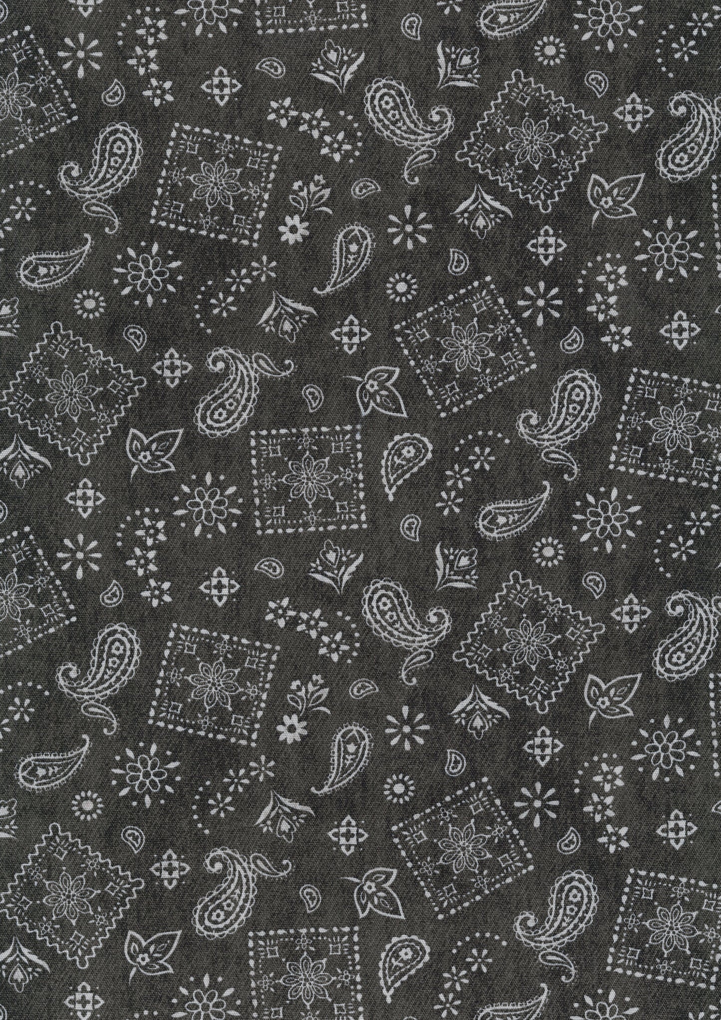 Denim Layers Cotton Oxford YPA-71020-1