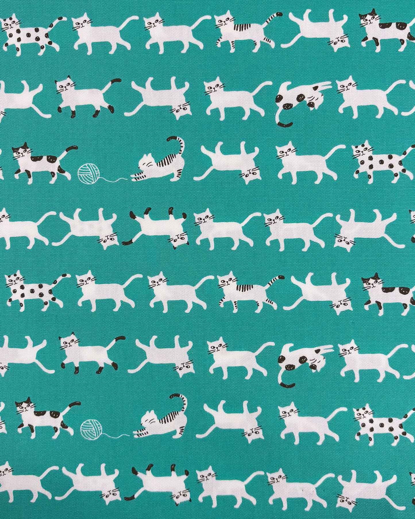 Simply Palette Cats Cotton Oxford YPA-69010-1