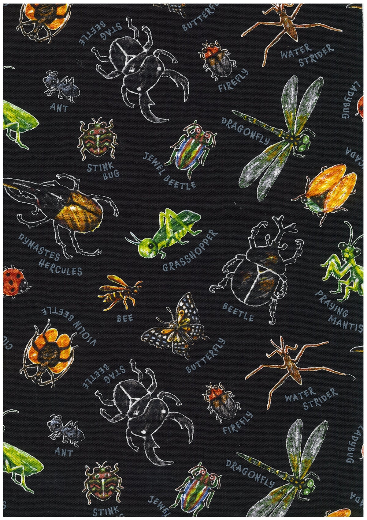 Manabu Beetles Cotton Oxford YQA-29000-1