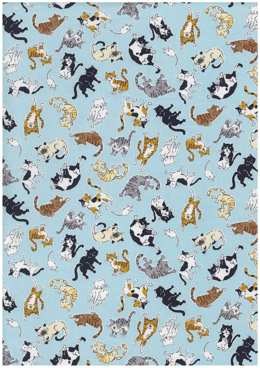 Kitties Cotton Oxford YQA-29010-1