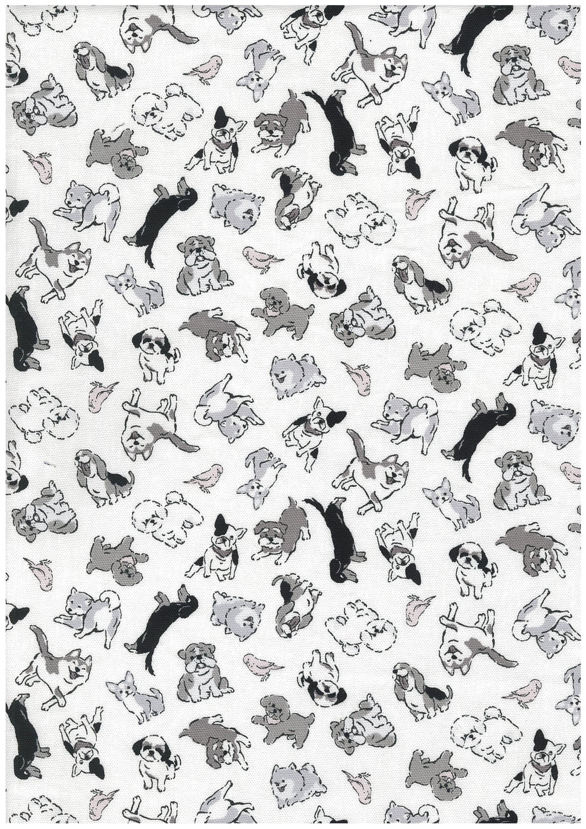 Puppies Cotton Oxford YQA-29010-2