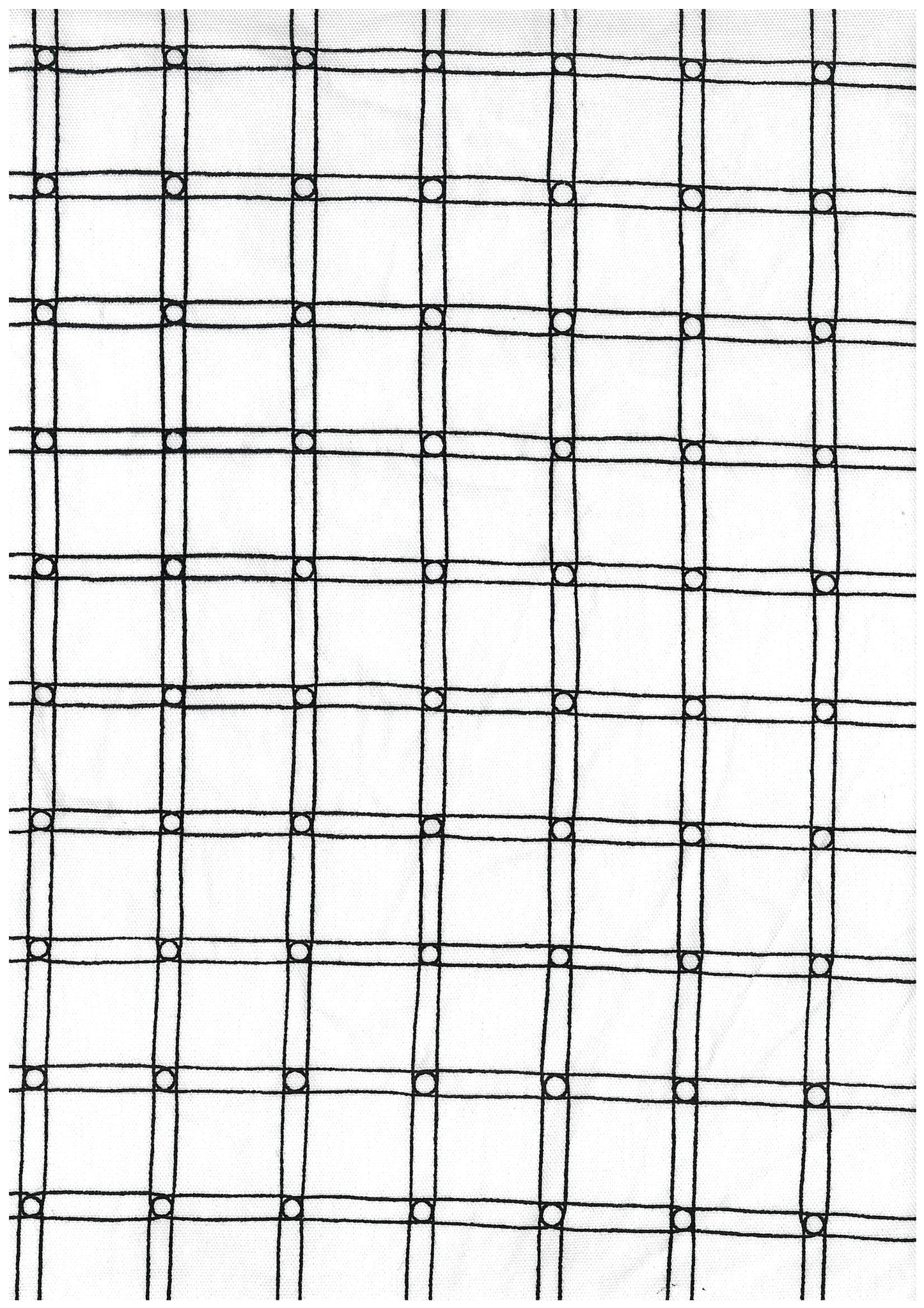 MUDDY WORKS Rubber Band Check Oxford EKX-141-1