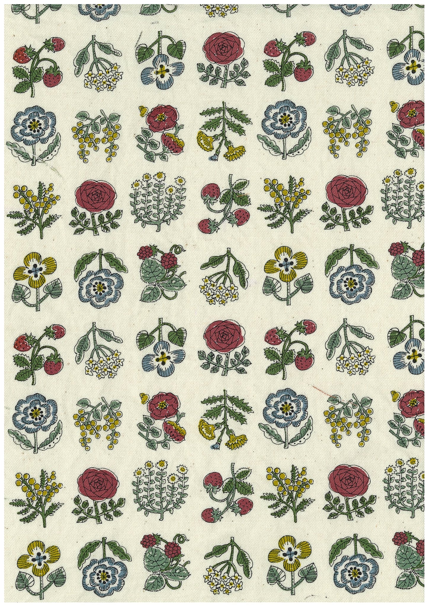 Linnea Wildflower Oxford YKA-26000-1