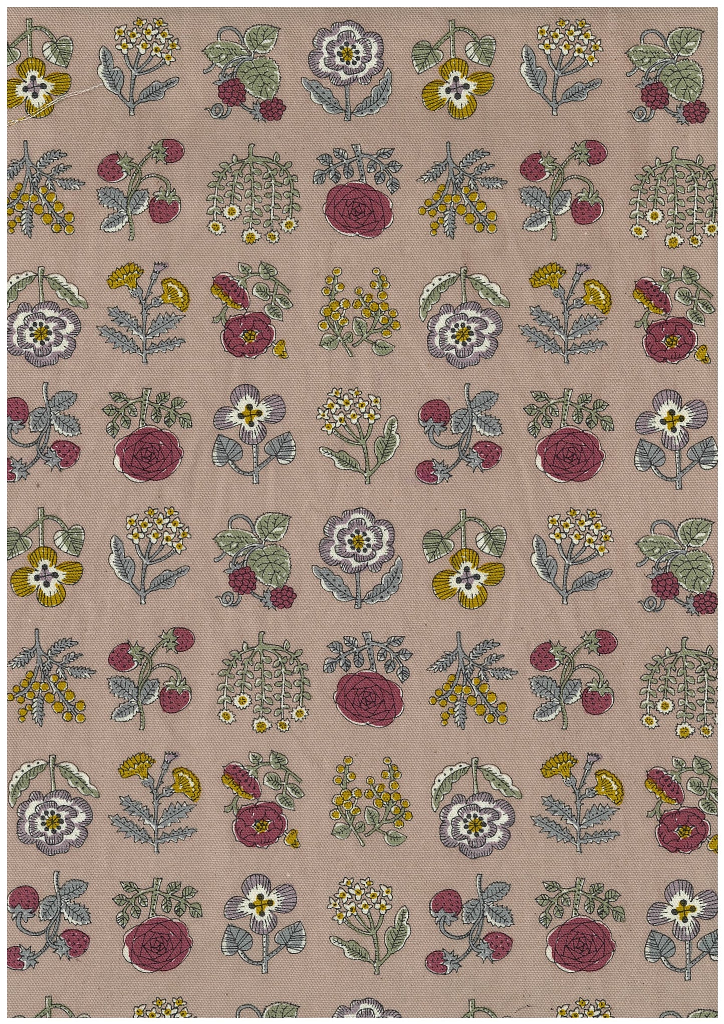 Linnea Wildflower Oxford YKA-26000-1
