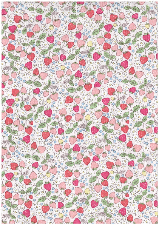 Dream Girl Strawberries Cotton Oxford YKA-49010-1