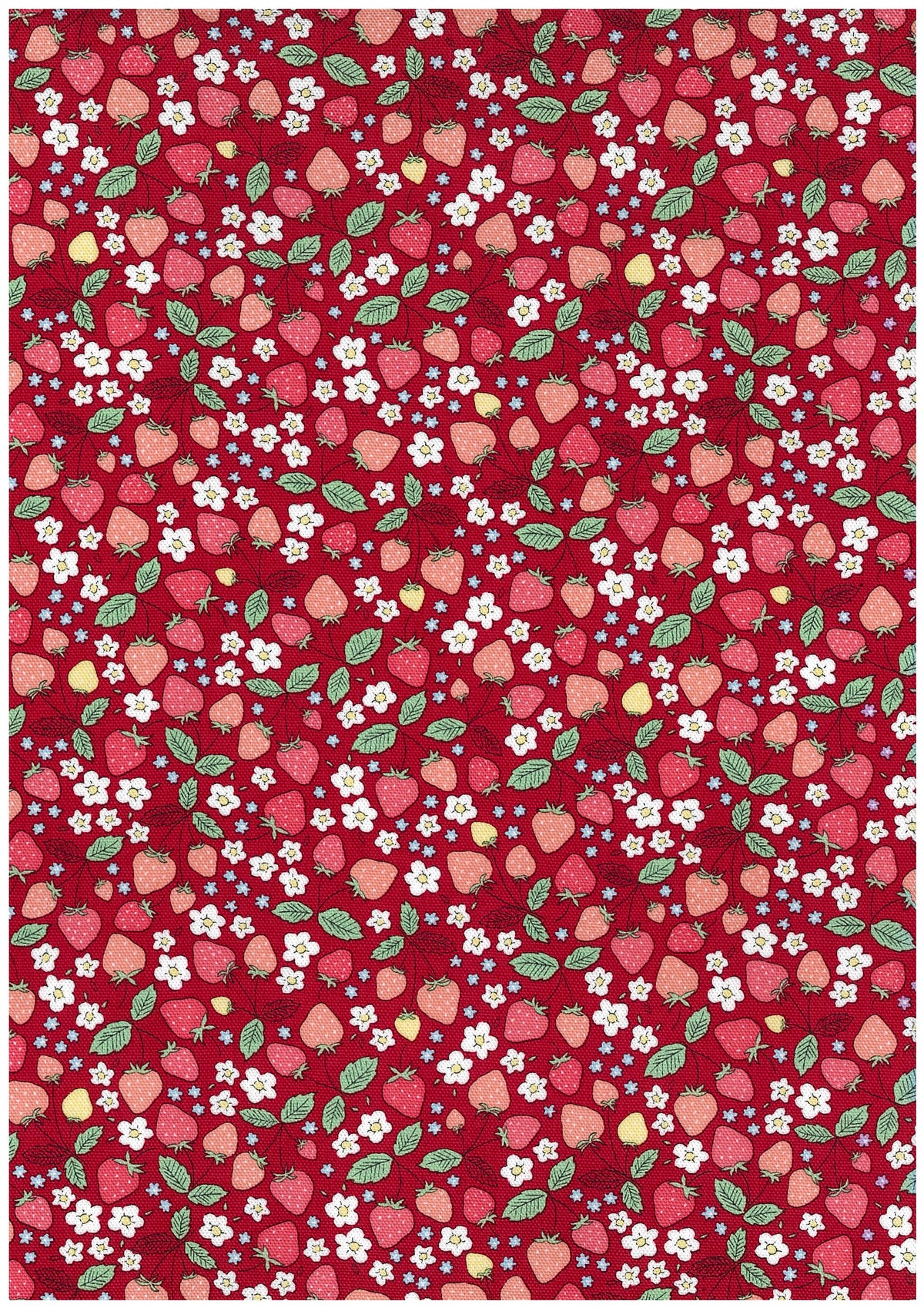 Dream Girl Strawberries Cotton Oxford YKA-49010-1