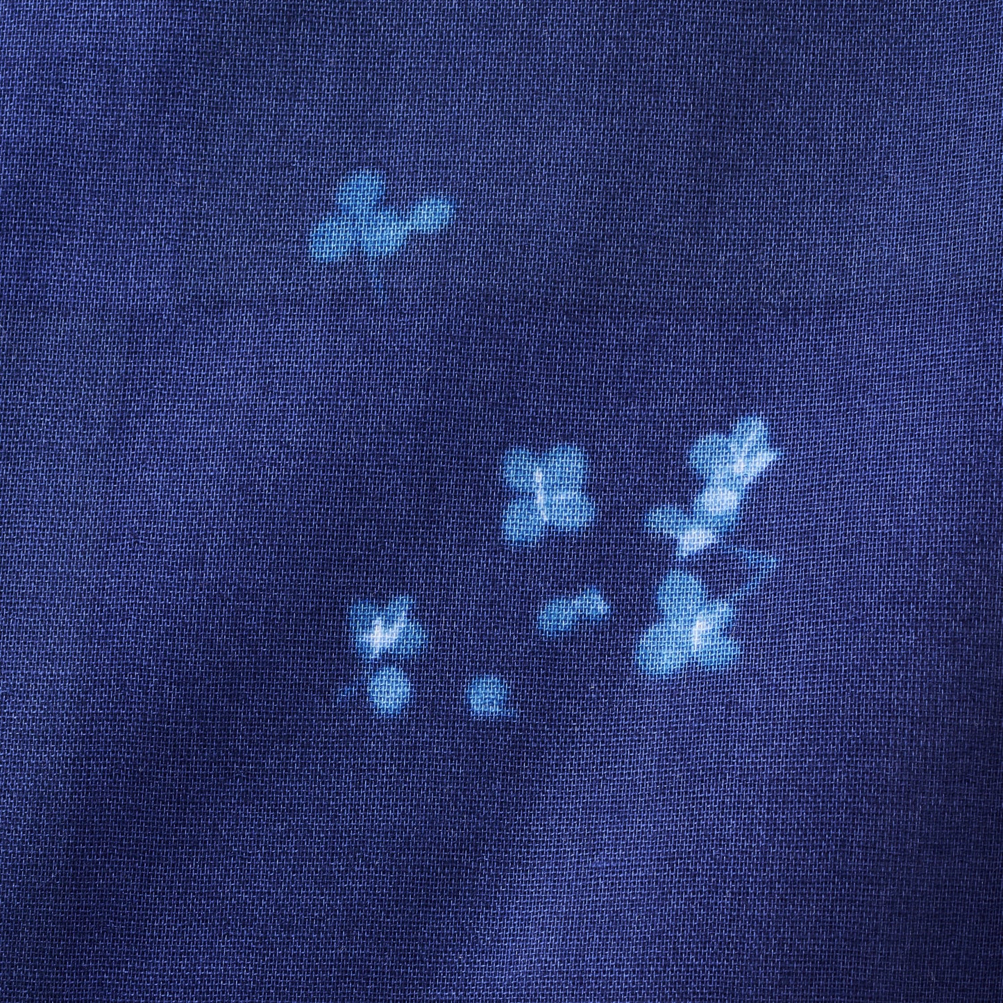 nani IRO Microcosmos Cotton Double Gauze EGX-11280-1