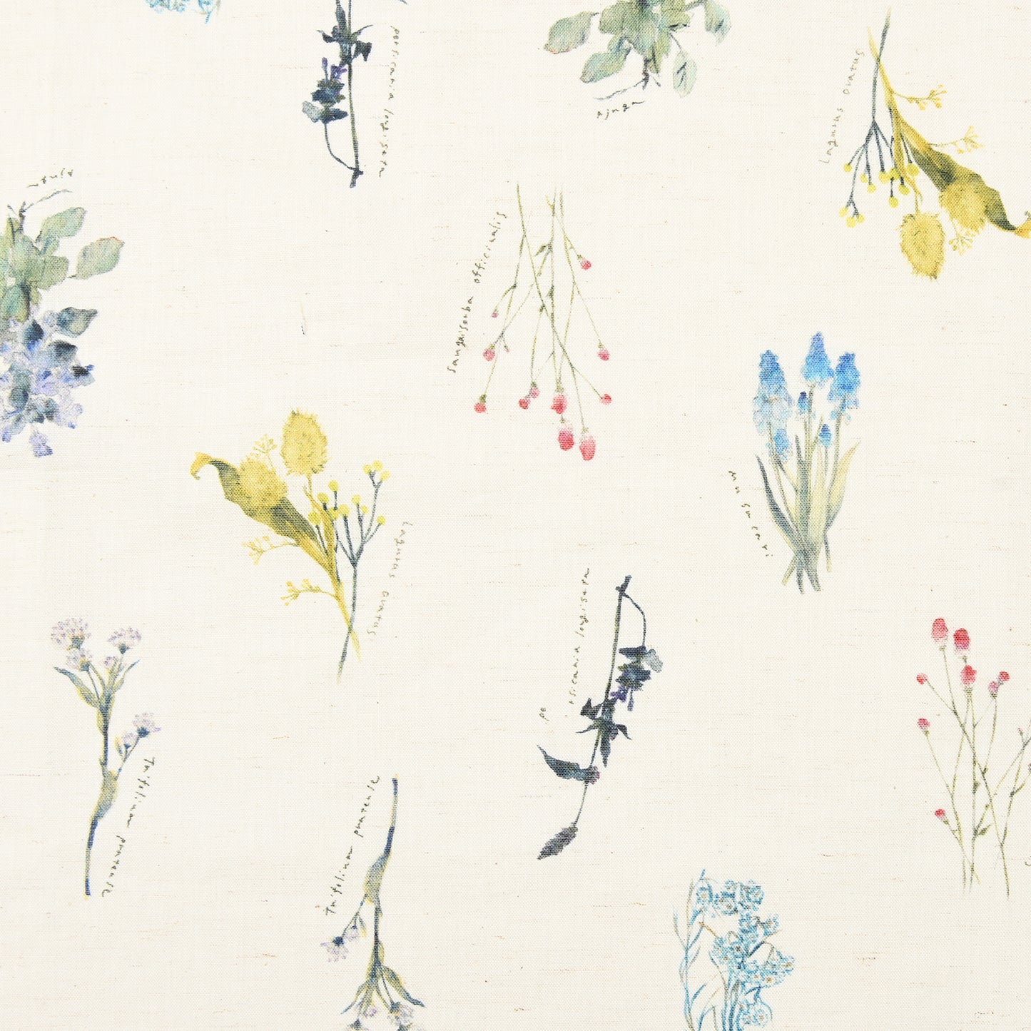 yui Botanical Sketch Poplin EGXA-6414-1