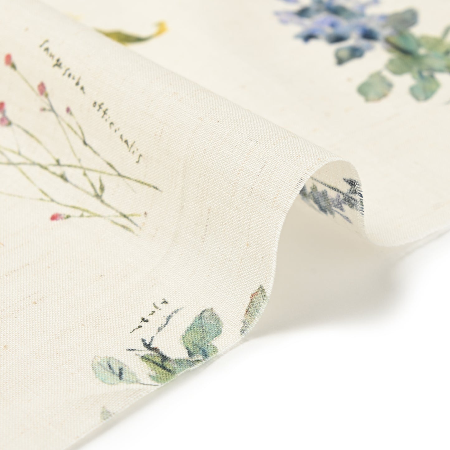 yui Botanical Sketch Poplin EGXA-6414-1
